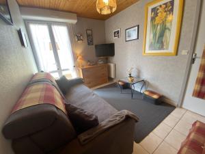 Televízia a/alebo spoločenská miestnosť v ubytovaní Appartement 4 pers. à Fouras, proche plage avec cour ensoleillée et stationnement - FR-1-709-37