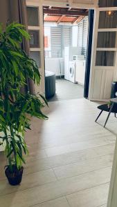 Fotografie z fotogalerie ubytování Cosy suite en centre ville v destinaci Pointe-à-Pitre