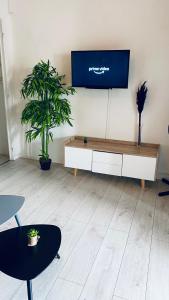 TV a/nebo společenská místnost v ubytování Cosy suite en centre ville + 9 fotografií