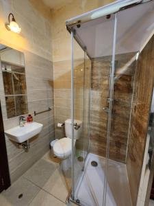 un bagno con doccia, WC e lavandino di Pool and Fun in Gozo, Great place to relax and enjoy nature a Għajn il-Kbira Altre 11 foto