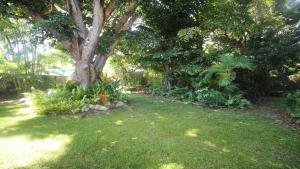 a yard with a tree and some plants at Magnetic Mango Escape in Horseshoe Bay