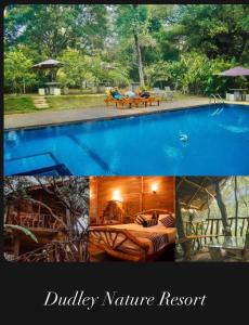 eine Collage mit Bildern eines Schwimmbads mit in der Unterkunft Dudley Nature Resort in Habarana
