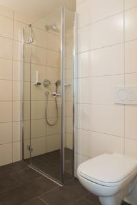 a bathroom with a glass shower with a toilet at Landhotel Kuralpe Kreuzhof in Lautertal