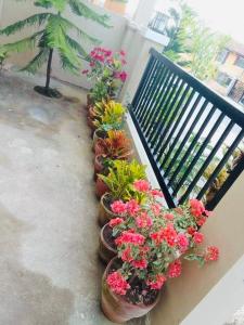 a row of potted plants on a balcony at Stanford Resedence in Silang