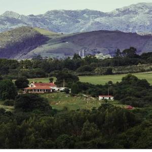 a house in a field with a herd of animals at Surfhousegerra in San Vicente de la Barquera