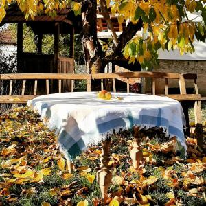 Afbeelding uit fotogalerij van Stefanovića kuća in Babušnica