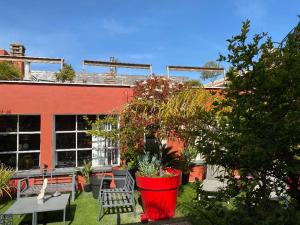 Сад в Le Patio Père Pigne Guestroom