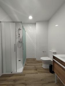 bagno con doccia e servizi igienici. di Pensión Residencial Platas a O Pedrouzo