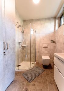 uma casa de banho com um chuveiro, um WC e um lavatório. em APARTMÁNY BLUDOVEČEK em Bludov