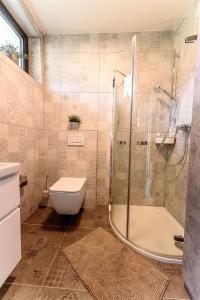 uma casa de banho com um chuveiro, um WC e um lavatório. em APARTMÁNY BLUDOVEČEK em Bludov