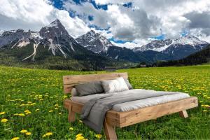 a bed in a field with mountains in the background at Appartement Ambrosius in Lermoos +38 photos