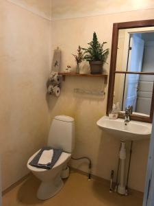 a bathroom with a toilet and a sink at Karaby Gård, Country Living in Kristinehamn