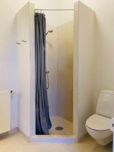 a bathroom with a shower with a toilet and a shower curtain at Assendrupgaard Vejle in Vejle