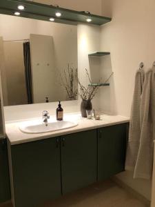 een badkamer met een wastafel en een spiegel bij Assendrupgaard Vejle in Vejle
