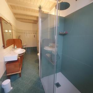 a bathroom with a shower and a sink at Relais diVINO in Ala