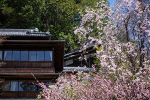a tree with pink flowers in front of a building at Yunoshimakan in Gero