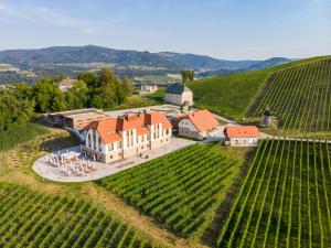 an aerial view of a winery in a vineyard at Familienapartment mit Pool, Spa und Panoramablick in Zirkitz