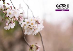 Fotografie z fotogalerie ubytování GLOCE 養老 千歳楼別邸古民家 l 約250年の歴史を持つ旅館にある古民家を貸し切り v destinaci Yoro