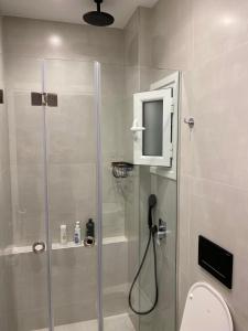 a bathroom with a shower with a toilet and a tv at Modern studio apartment B in Athens