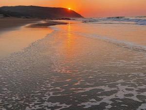 a sunset on a beach with the tide coming in at Linga Futhi Beach Cottages in Port St Johns +2 photos