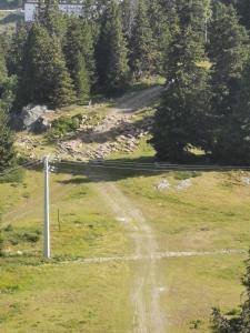 Příroda nedaleko apartmánu