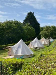 Zahrada ubytování Camping Cap-Ouest + 37 fotografií