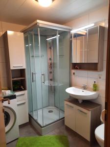 a bathroom with a glass shower and a sink at Vögelhof in Doren +26 photos