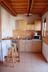 Kuchyň nebo kuchyňský kout v ubytování Maya Guesthouse