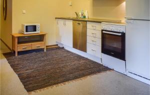 Kuchyň nebo kuchyňský kout v ubytování Hovden Alpin Apartments