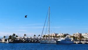 Fotografia z galérie ubytovania Apartamentos Tamarindo Santa Pola v destinácii Santa Pola