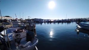 Fotografia z galérie ubytovania Apartamentos Tamarindo Santa Pola v destinácii Santa Pola