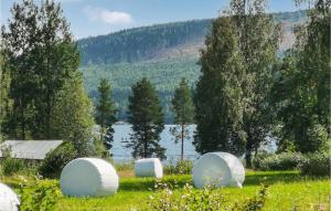 un grupo de esferas blancas en la hierba cerca de un lago en Beautiful Home In Karlsviken With Kitchen 