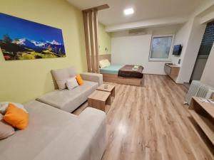 a living room with a couch and a table at Bojana Apartment in Negotino
