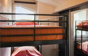2 stapelbedden in een kamer met een raam bij Nice Home In Putten With 2 Bedrooms And Wifi in Putten