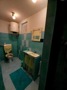 zieloną łazienkę z umywalką i toaletą. w obiekcie KUĆA ZA ODMOR JURINO GNIJEZDO w mieście Jarki Horvatićevi