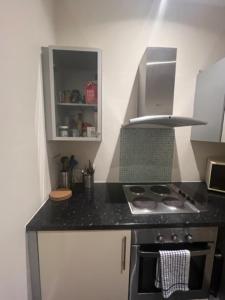 a kitchen with a stove and a counter top at Peaceful 1 Bedroom Flat near Highbury and Islington in London