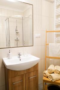 a bathroom with a sink and a mirror at Nadmorska Strzecha in Smołdziński Las