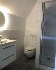 uma casa de banho com um WC, um lavatório e um chuveiro em Rustig logeerverblijf aan de rand van de stad em Lekkum