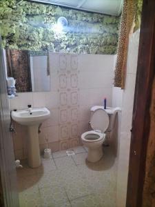 a bathroom with a toilet and a sink at Kikambala Eco Villas in Mombasa
