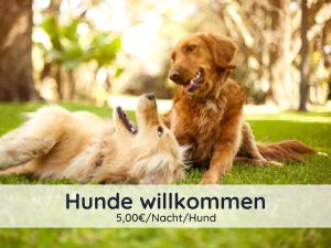 バート・ザクサにあるDer Fuchsbau - Fewo LePetit - im sonnigen Harz - Hunde willkommen - 100m bis zum Wald - FREE WLANの公園の芝生に寝た犬2匹