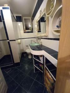 y baño con lavabo y aseo. en Nice Apartment near by Capital of Slovenia, en Liubliana