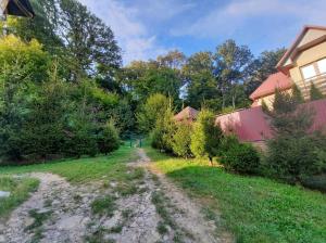 a dirt road in a yard next to a house at Комфортный in Karpaty