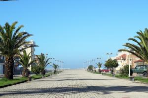 una calle con palmeras y edificios y el océano en Captains House by DestinyHouses, en Cortegaça