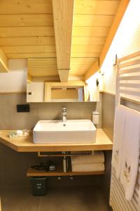 a bathroom with a sink in a tiny house at Hotel Galli's - Centro in Livigno