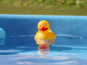 un pato de goma sentado en una piscina en Mischief en Harpham