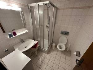 a bathroom with a shower and a sink and a toilet at Hotel Almenrausch in Neukirchen