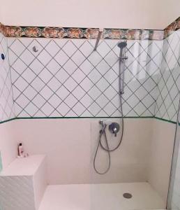 a shower in a bathroom with a toilet and a sink at Villa La Terrazza Suites in Sorrento