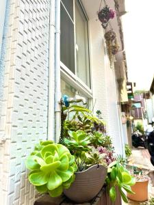 a group of potted plants on the side of a window at The Apartment Number 18 in Tainan