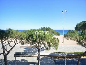 Blick auf einen Strand mit Bäumen und das Meer in der Unterkunft Catalunya E-2 in Platja  d'Aro