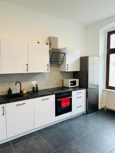 Kuchyň nebo kuchyňský kout v ubytování City Apartment in Zwickau WIFI NETFLIX ZENTRUM